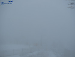 Pohled na jihozápad, Smrk