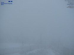 Pohled na jihozápad, Smrk