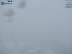 Pohled na jihozápad, Smrk