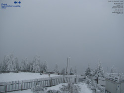 Pohled na jihozápad, Smrk