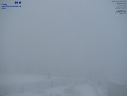 Pohled na jihozápad, Smrk