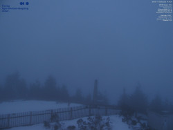 Pohled na jihozápad, Smrk