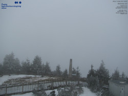 Pohled na jihozápad, Smrk