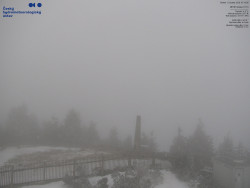 Pohled na jihozápad, Smrk