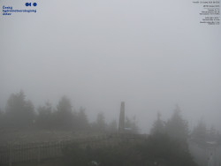 Pohled na jihozápad, Smrk