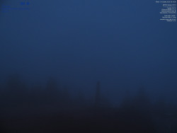 Pohled na jihozápad, Smrk