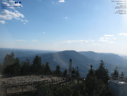 Pohled na jihozápad, Smrk