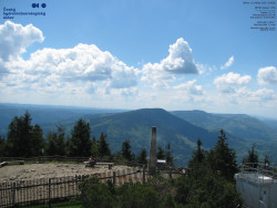 Pohled na jihozápad, Smrk