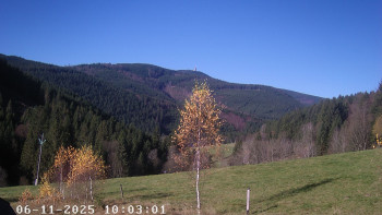 Snímek 6.11.2025 v 11:00