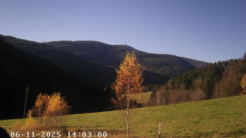 Snímek 6.11.2025 v 14:15