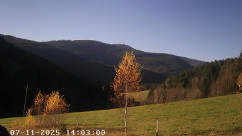 Snímek 7.11.2025 v 14:15