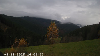 Snímek 8.11.2025 v 14:45