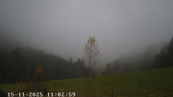 Snímek 15.11.2025 v 11:30