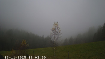 Snímek 15.11.2025 v 12:30