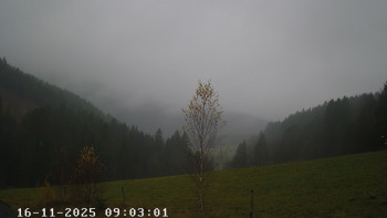 Snímek 16.11.2025 v 09:15