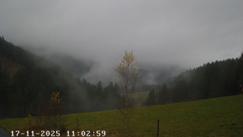 Snímek    17.11.2025 v 12:00