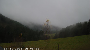 Snímek 17.11.2025 v 15:30