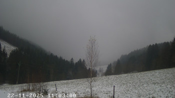 Snímek    22.11.2025 v 11:15