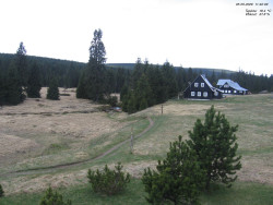 Jeřábkovna