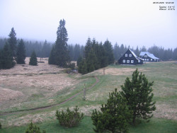 Jeřábkovna