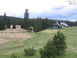 Jeřábkovna