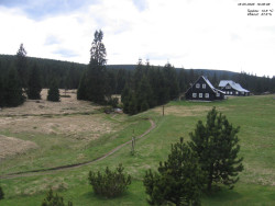 Jeřábkovna