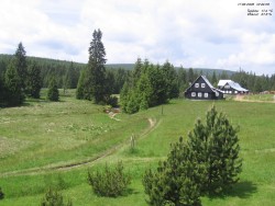 Kranhaus