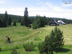 Jeřábkovna
