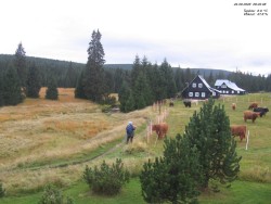 Jeřábkovna