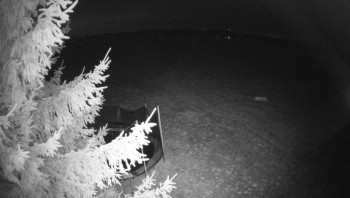 Snímek    13.9.2025 v 05:45