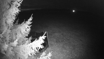 Snímek    15.9.2025 v 05:30
