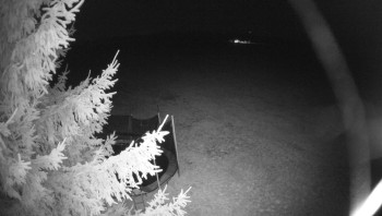 Snímek    19.9.2025 v 05:00