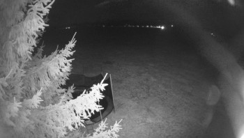 Snímek    14.10.2025 v 05:00