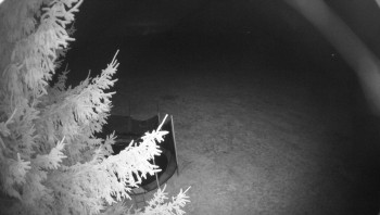 Snímek    16.10.2025 v 03:45