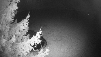 Snímek    28.10.2025 v 20:45