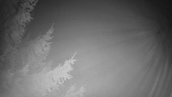 Snímek    2.11.2025 v 03:45