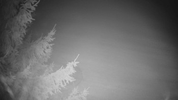 Snímek    2.11.2025 v 05:45