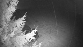 Snímek    2.11.2025 v 17:30