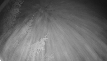 Snímek 5.11.2025 v 05:30