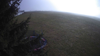 Snímek 5.11.2025 v 11:00