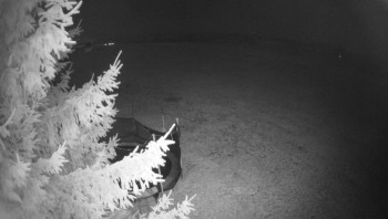 Snímek 7.11.2025 v 04:45