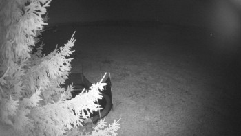 Snímek 8.11.2025 v 05:30