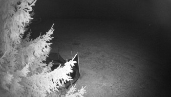 Snímek 8.11.2025 v 23:30