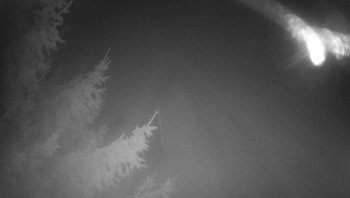 Snímek    12.11.2025 v 19:45