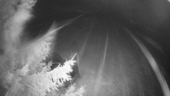 Snímek    15.11.2025 v 00:30