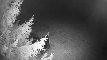 Snímek 17.11.2025 v 04:30