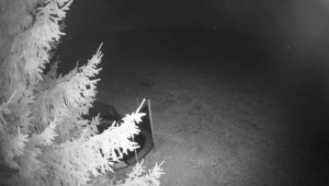 Letiště Třebíč - Pohled na východ - 18.11.2025 v 03:00 Letiště Třebíč - Pohled na východ - 18.11.2025 v 03:00