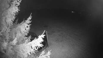 Snímek    20.11.2025 v 18:15