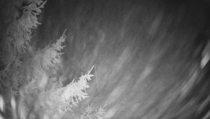 Letiště Třebíč - Pohled na východ - 13.12.2025 v 17:30 Letiště Třebíč - Pohled na východ - 13.12.2025 v 17:30