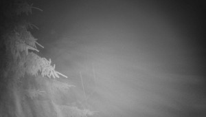 Letiště Třebíč - Pohled na východ - 17.12.2025 v 01:45